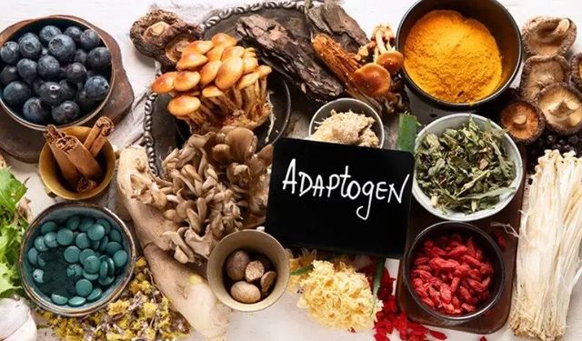 Modern hayat yoruluyor! Adaptojenler stresi azaltıyor mu?
