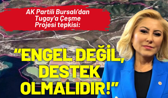 AK Partili Bursalı'dan Tugay'a Çeşme Projesi tepkisi: Engel değil, destek olmalıdır!