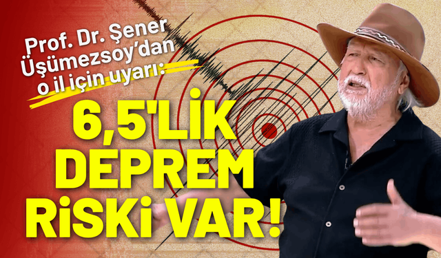 Prof. Dr. Şener Üşümezsoy o il için uyarı: 6,5 deprem riski var!