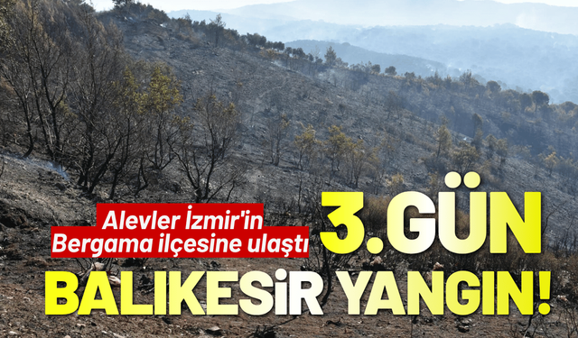 Balıkesir Gömeç yangında 3'üncü gün!