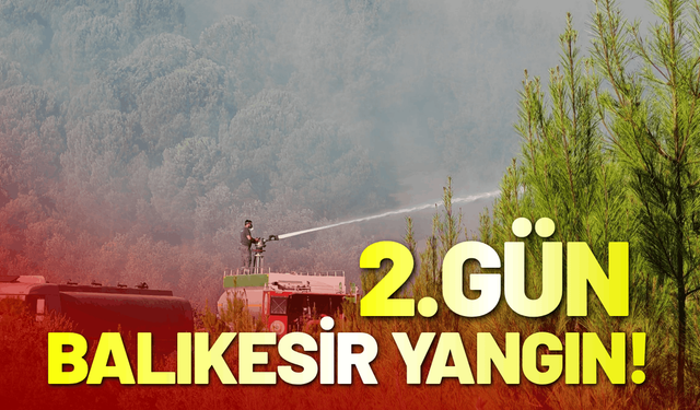 Balıkesir Gömeç'te yangın 2'nci gününde