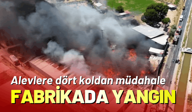 İzmir'de geri dönüşüm fabrikasında yangın