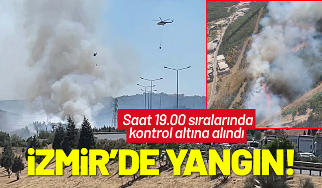 İzmir'de otluk alanda çıkan yangın, ormana sıçradı
