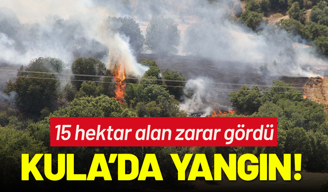 Kula'da orman yangınında 15 hektar alan zarar gördü