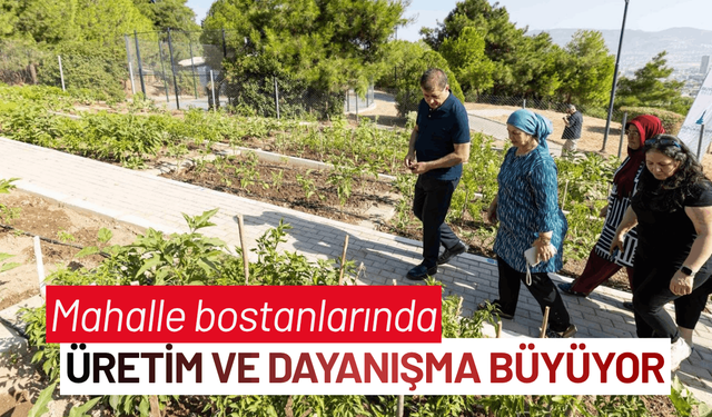 Mahalle bostanlarında üretim ve dayanışma büyüyor