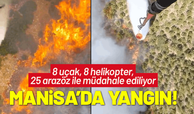 Manisa'da orman yangını