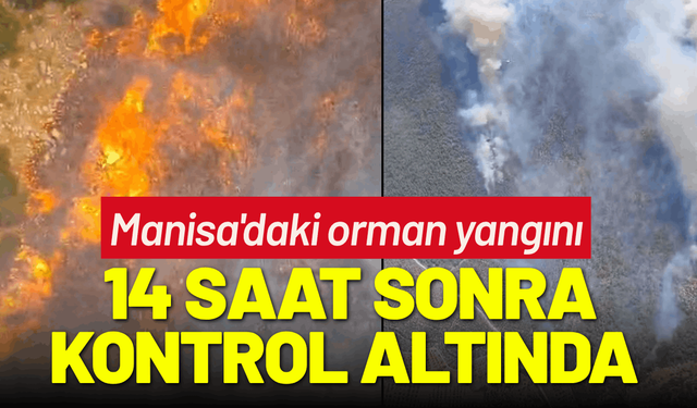Manisa'daki orman yangını kontrol altında