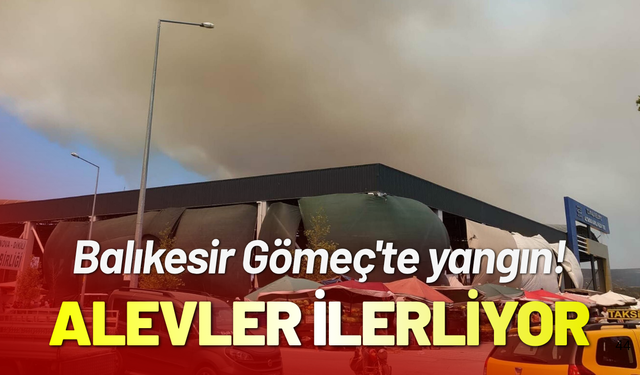 Balikesir Gömeç'te yangın! Alevler ilerliyor