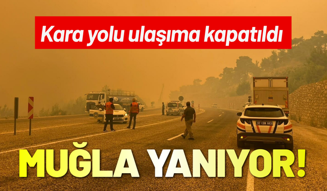 Muğla'da orman yangını; kara yolu ulaşıma kapatıldı