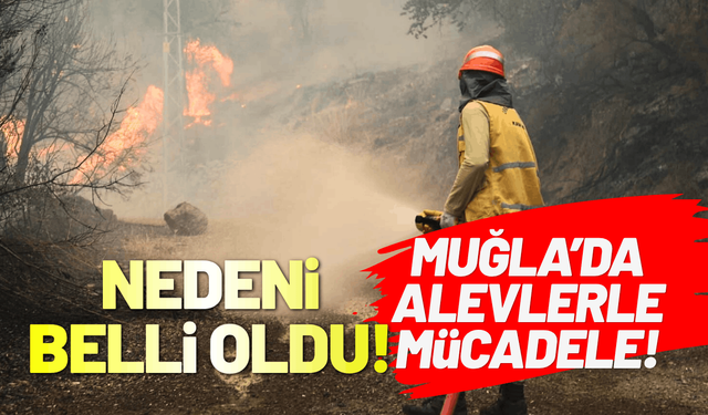 Muğla'da yangının çıkış nedeni belli oldu! Başkan Aras yangın bölgesinde...