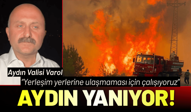 Aydın Valisi Varol'dan yangınla ilgili açıklama: Yerleşim yerlerine ulaşmaması için çalışıyoruz