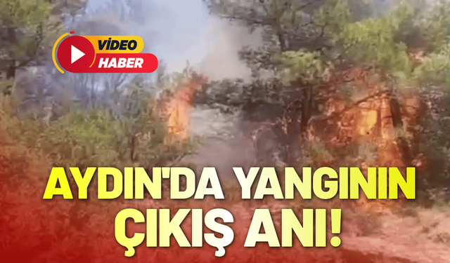 Aydın'da yangının çıkış anı!