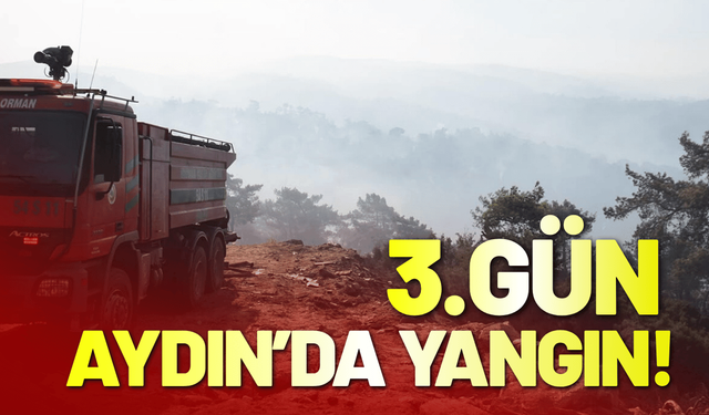 Aydın’da orman yangını 3'üncü gününde
