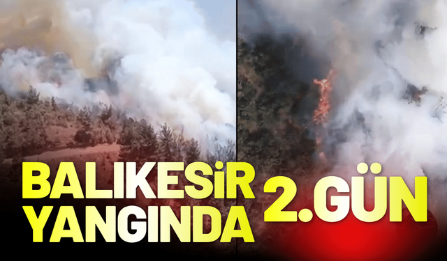 Balıkesir Sındırgı'da yangın ikinci gününde!