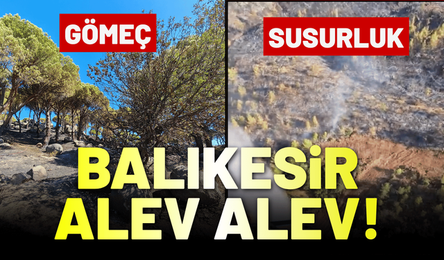 Balıkesir alev alev yanıyor: Susurluk ve Gömeç'te müdahale sürüyor