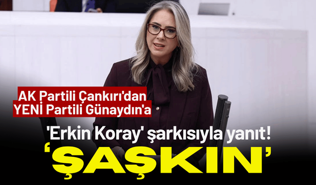 AK Partili Çankırı'dan YENİ Partili Günaydın'a 'Erkin Koray' şarkısıyla yanıt!