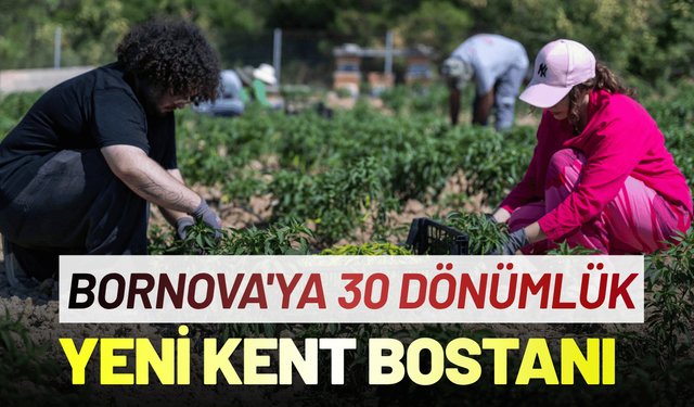 Bornova'ya 30 dönümlük yeni kent bostanı geliyor