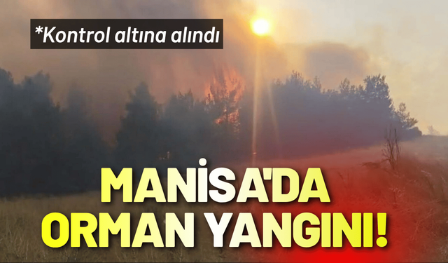 Manisa'da orman yangını! Kontrol altına alındı