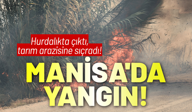 Manisa'da hurdalıkta yangın, tarım arazisine sıçradı!