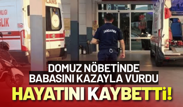 Domuz nöbetinde babasını kazayla vurdu, hastanede hayatını kaybetti!