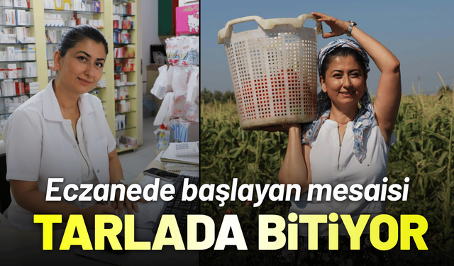 Eczanede başlayan mesaisi tarlada bitiyor