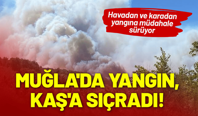 Muğla'da çıkan yangın, Kaş'a sıçradı!