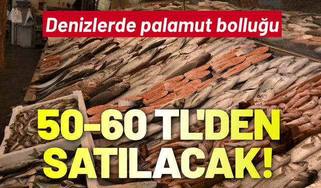 Denizlerde palamut bolluğu: 50-60 TL'den satılacak!
