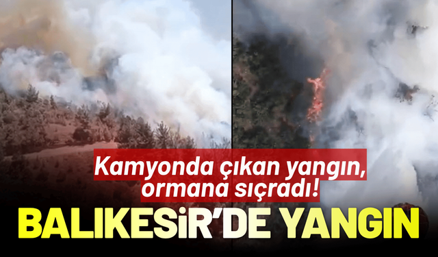 Balıkesir'de yangın: Kamyonda çıkan yangın, ormana sıçradı!
