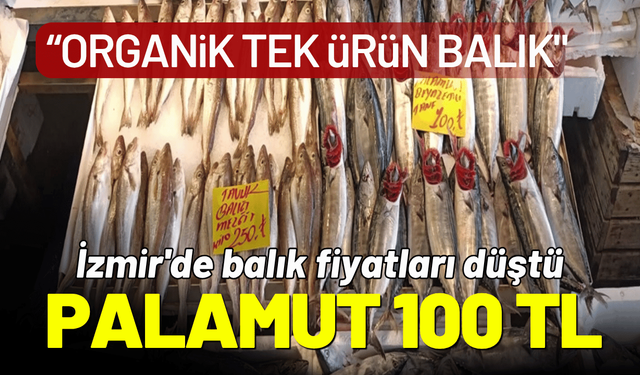 İzmir'de balık fiyatları düştü; palamut 100 TL