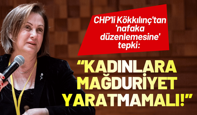 CHP'li Kökkılınç'tan 'nafaka düzenlemesine' tepki: Kadınlara mağduriyet yaratmamalı!