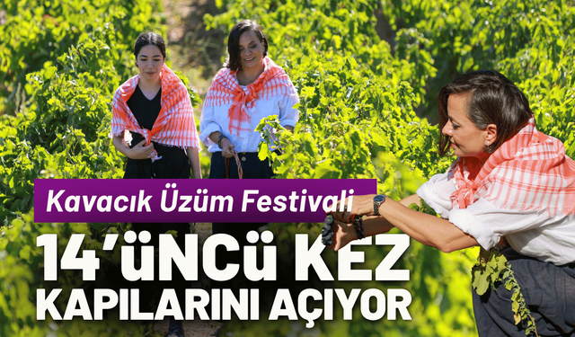 Kavacık Üzüm Festivali 14’üncü kez kapılarını açıyor