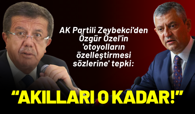 AK Partili Nihat Zeybekci'den Özgür Özel'e 'özelleştirme' tepkisi: Akılları o kadar!