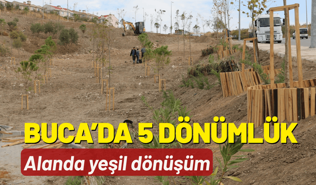 Buca’da 5 dönümlük alanda yeşil dönüşüm