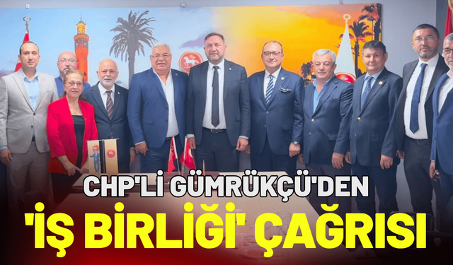 CHP'li Gümrükçü'den 'Siyaset üstü bir iş birliği' çağrısı