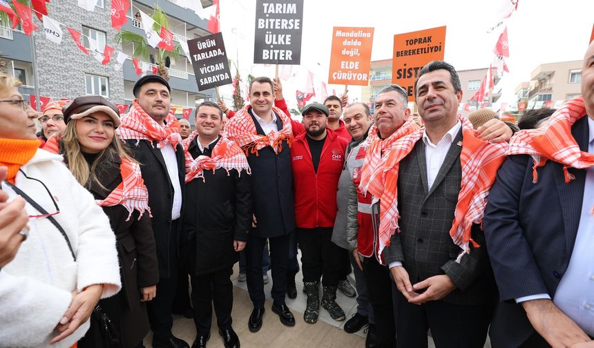 Mandalina üreticileri isyan etti: Üreticiler olarak zor durumdayız