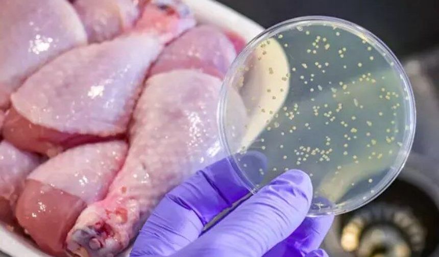 Mutfakta en çok zehirleyen gıda!