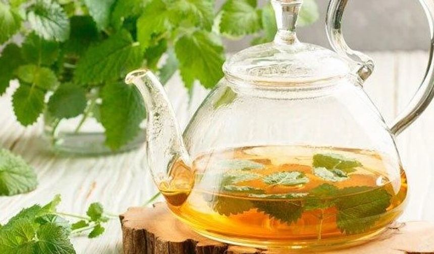 Melisa çayının faydaları nelerdir? Melisa çayı ne işe yarar?
