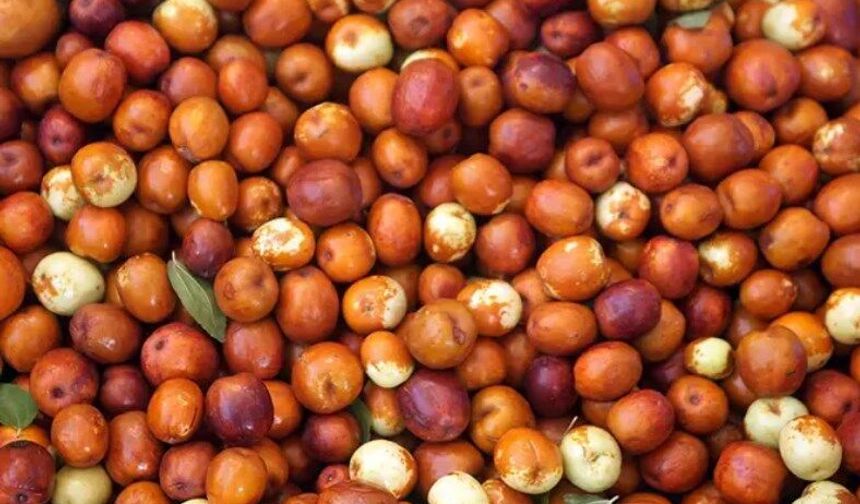 Doğanın unutulmuş şifa kaynağı! Hünnap ile tanışın!