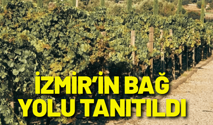 İzmir’in Bağ Yolu tanıtıldı