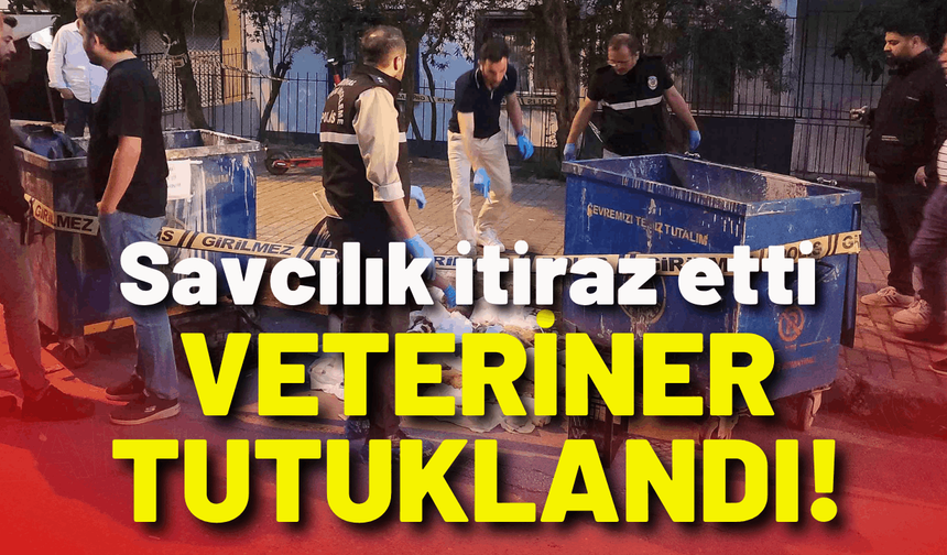 Savcılık itiraz etti, veteriner tutuklandı!