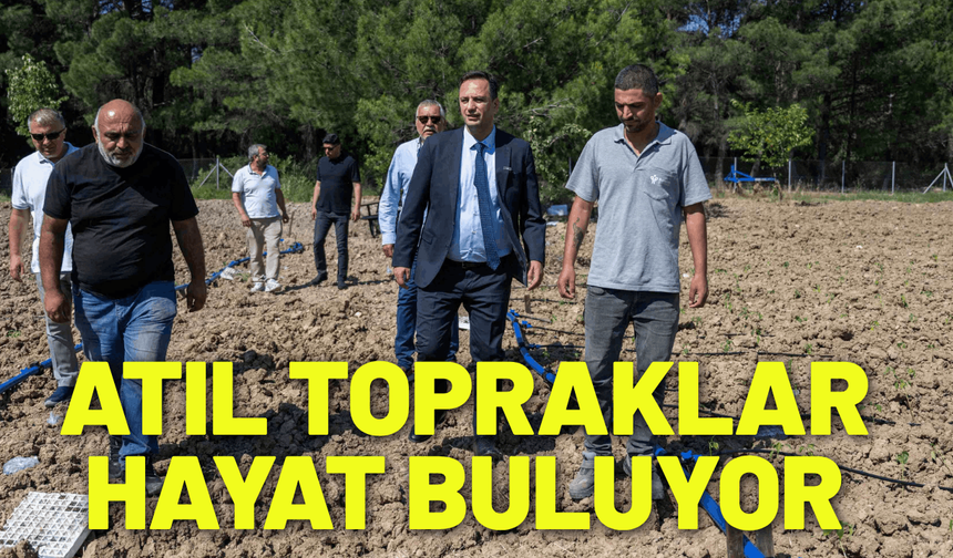 Bornova'da atıl topraklar hayat buluyor
