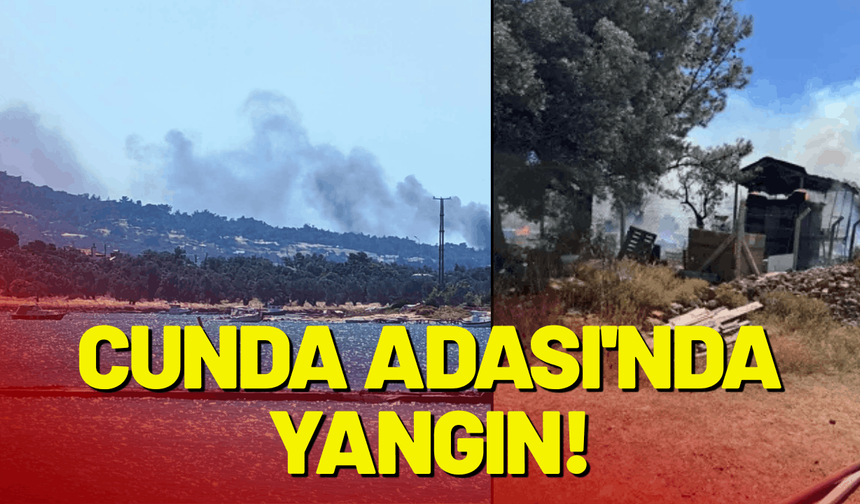 Balıkesir'in Cunda Adası'nda yangın!