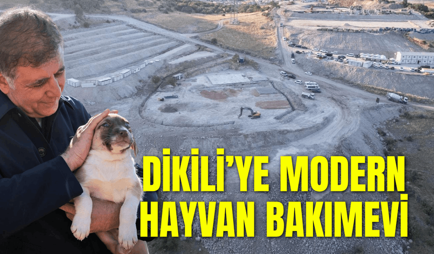 Dikili’ye modern hayvan bakımevi