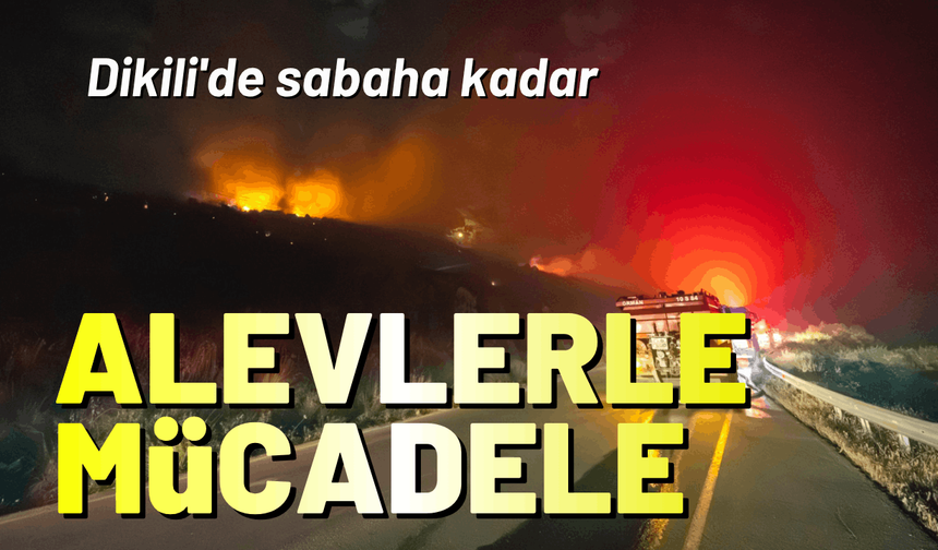 Dikili'de sabaha kadar alevlerle mücadele