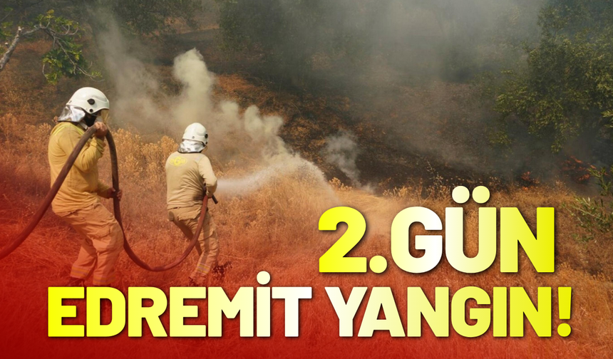Edremit'te yangın 2'nci gününde