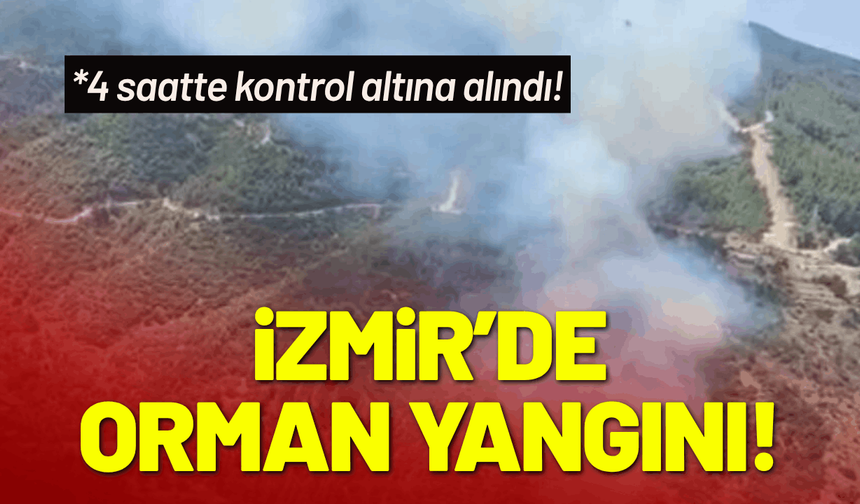 İzmir’de orman yangını: 4 saatte kontrol altına alındı!