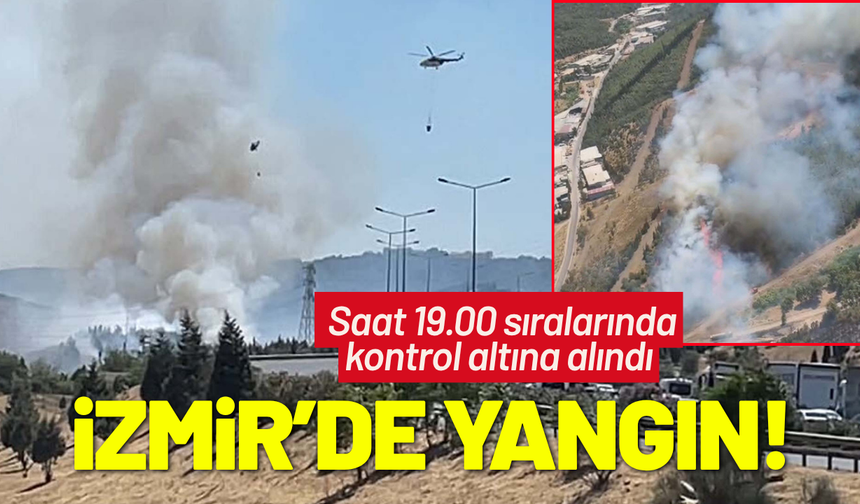 İzmir'de otluk alanda çıkan yangın, ormana sıçradı