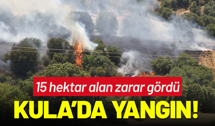 Kula'da orman yangınında 15 hektar alan zarar gördü