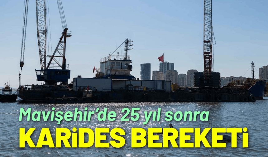Mavişehir’de 25 yıl sonra karides bereketi