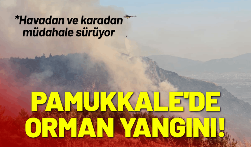 Pamukkale'de orman yangını!
